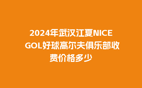 2024年武汉江夏NICE GOL好球高尔夫俱乐部收费价格多少