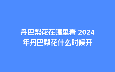 丹巴梨花在哪里看 2024年丹巴梨花什么时候开