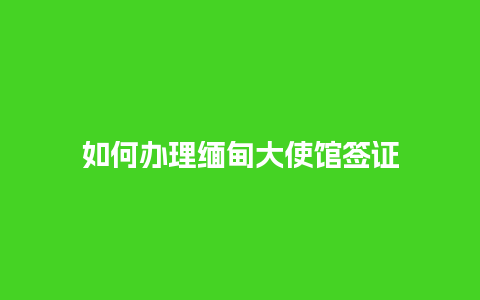 如何办理缅甸大使馆签证