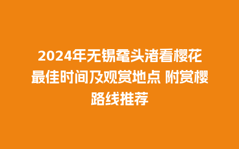 2024年无锡鼋头渚看樱花最佳时间及观赏地点 附赏樱路线推荐