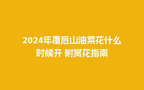 2024年覆卮山油菜花什么时候开 附赏花指南