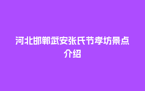 河北邯郸武安张氏节孝坊景点介绍