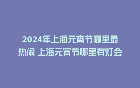 2024年上海元宵节哪里最热闹 上海元宵节哪里有灯会