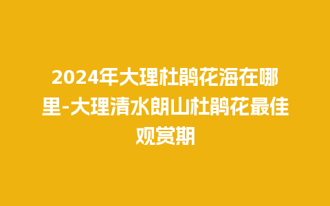 2024年大理杜鹃花海在哪里-大理清水朗山杜鹃花最佳观赏期