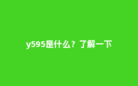 y595是什么？了解一下