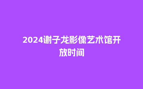 2024谢子龙影像艺术馆开放时间