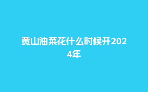 黄山油菜花什么时候开2024年