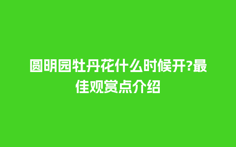 圆明园牡丹花什么时候开?最佳观赏点介绍