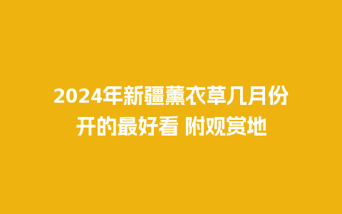 2024年新疆薰衣草几月份开的最好看 附观赏地