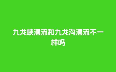 九龙峡漂流和九龙沟漂流不一样吗