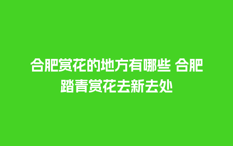 合肥赏花的地方有哪些 合肥踏青赏花去新去处