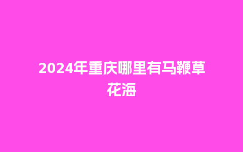 2024年重庆哪里有马鞭草花海