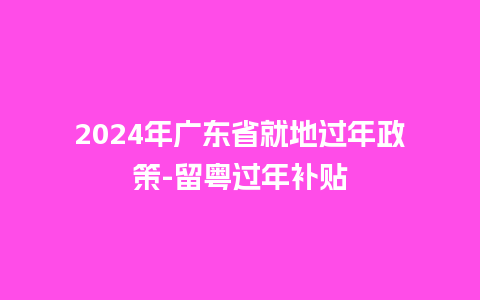 2024年广东省就地过年政策-留粤过年补贴