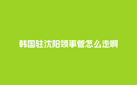 韩国驻沈阳领事管怎么走啊