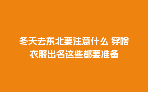 冬天去东北要注意什么 穿啥衣服出名这些都要准备