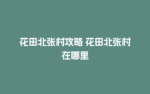 花田北张村攻略 花田北张村在哪里