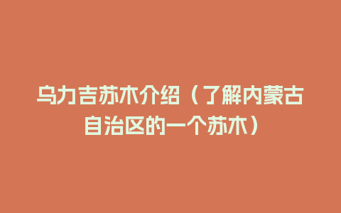 乌力吉苏木介绍（了解内蒙古自治区的一个苏木）