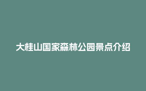 大桂山国家森林公园景点介绍