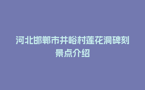 河北邯郸市井峪村莲花洞碑刻景点介绍