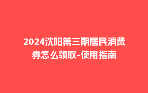 2024沈阳第三期居民消费券怎么领取-使用指南