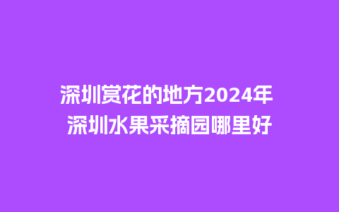 深圳赏花的地方2024年 深圳水果采摘园哪里好