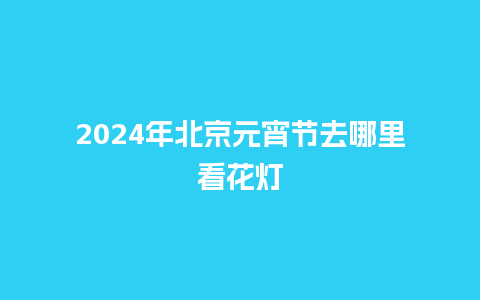 2024年北京元宵节去哪里看花灯