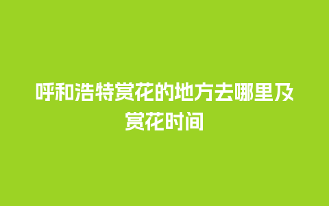 呼和浩特赏花的地方去哪里及赏花时间