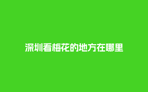 深圳看梅花的地方在哪里