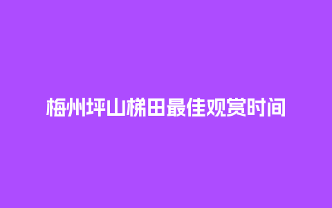 梅州坪山梯田最佳观赏时间