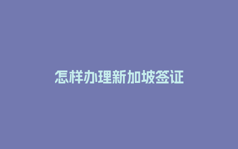 怎样办理新加坡签证