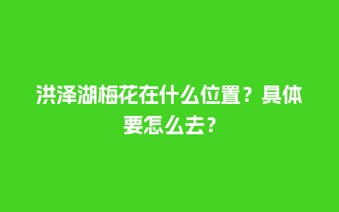 洪泽湖梅花在什么位置？具体要怎么去？