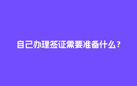 自己办理签证需要准备什么？