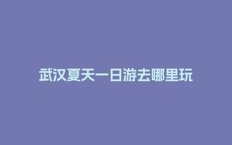 武汉夏天一日游去哪里玩