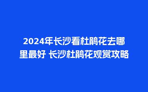 2024年长沙看杜鹃花去哪里最好 长沙杜鹃花观赏攻略