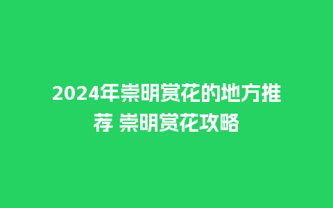 2024年崇明赏花的地方推荐 崇明赏花攻略