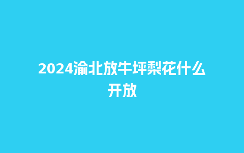 2024渝北放牛坪梨花什么开放