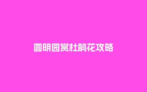 圆明园赏杜鹃花攻略