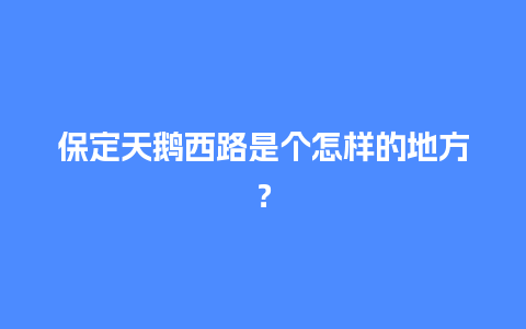 保定天鹅西路是个怎样的地方？