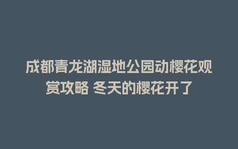 成都青龙湖湿地公园动樱花观赏攻略 冬天的樱花开了