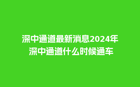 深中通道最新消息2024年 深中通道什么时候通车