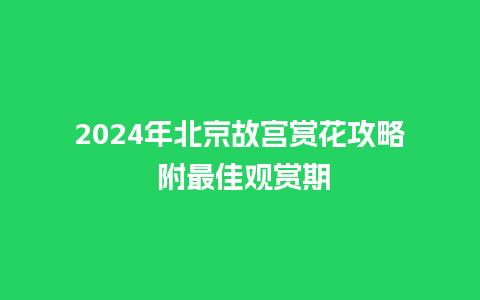 2024年北京故宫赏花攻略 附最佳观赏期