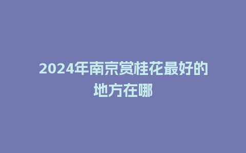 2024年南京赏桂花最好的地方在哪