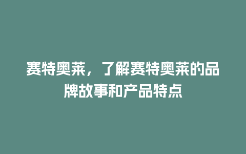 赛特奥莱，了解赛特奥莱的品牌故事和产品特点