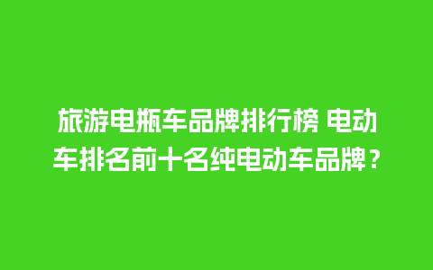 旅游电瓶车品牌排行榜 电动车排名前十名纯电动车品牌？