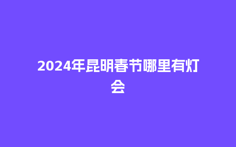 2024年昆明春节哪里有灯会