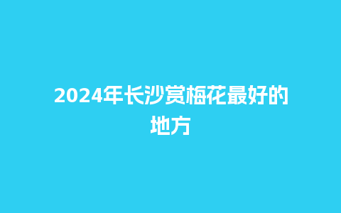 2024年长沙赏梅花最好的地方