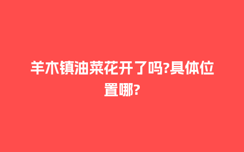 羊木镇油菜花开了吗?具体位置哪?