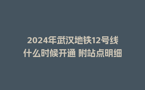 2024年武汉地铁12号线什么时候开通 附站点明细