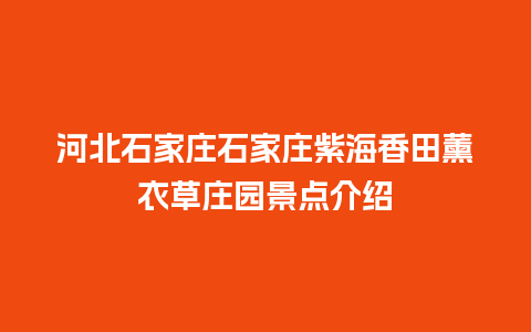 河北石家庄石家庄紫海香田薰衣草庄园景点介绍