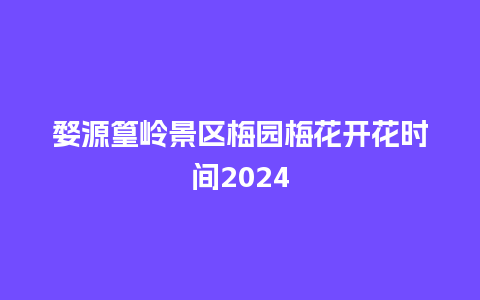 婺源篁岭景区梅园梅花开花时间2024